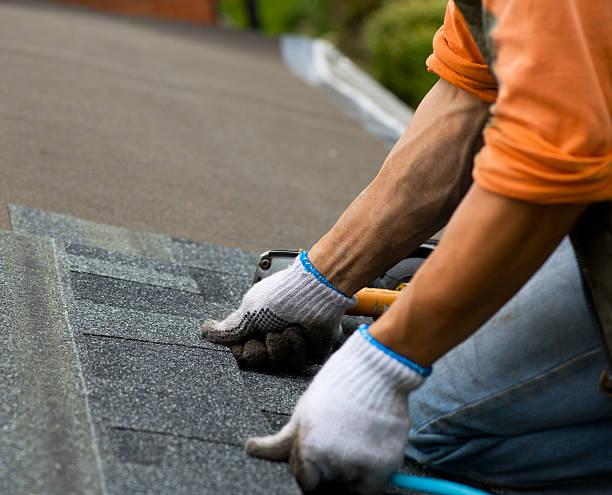 Best Sealant for Roof  in Croswell, MI