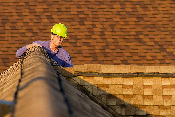 Best Local Roofing Companies  in Croswell, MI