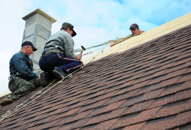 Professional Roofing Contractor in Croswell, MI
