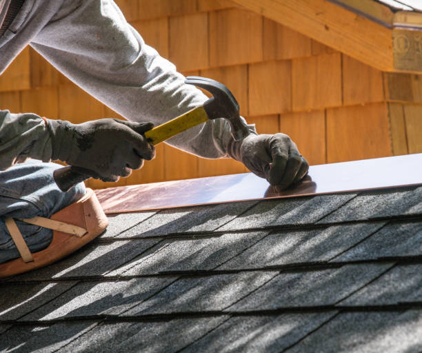 Best Metal Roofing Contractor  in Croswell, MI